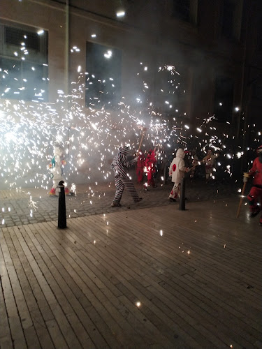 Negocio Ball De Diables De Reus