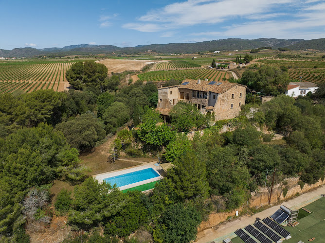 Negocio Masia Vallfort